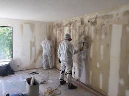 Professional Mold Inspection in West Columbia, SC